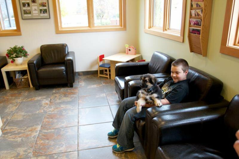 Boy-with-puppy-2